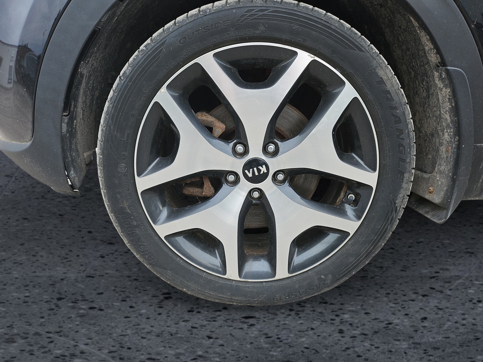 Image 8